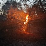Πολύ υψηλός κίνδυνος πυρκαγιάς σήμερα Σάββατο - Ποιες περιοχές είναι στο «κόκκινο»
