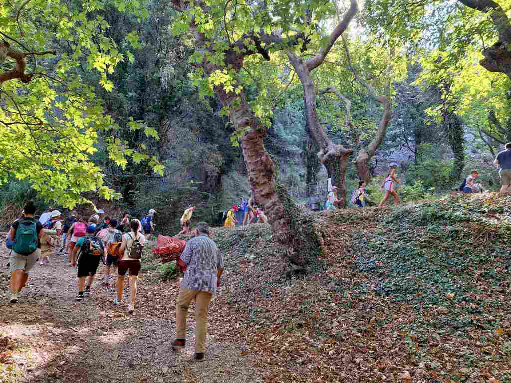 Πεζοπορία, δασοπυρόσβεση και εκπαιδευτικά Παιχνίδια, στη Νερομάνα Άνω Καστριτσίου, για τα παιδιά των κατασκηνώσεων του Δήμου Πατρέων