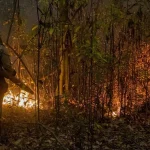 Συναγερμός για πυρκαγιές σε 30 πόλεις της Βραζιλίας - Γέμισε με καπνό το Σάο Πάολο