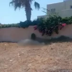 Κτηνωδία στην Σαντορίνη: Έδεσαν άλογο και το άφησαν να πεθάνει από τη δίψα