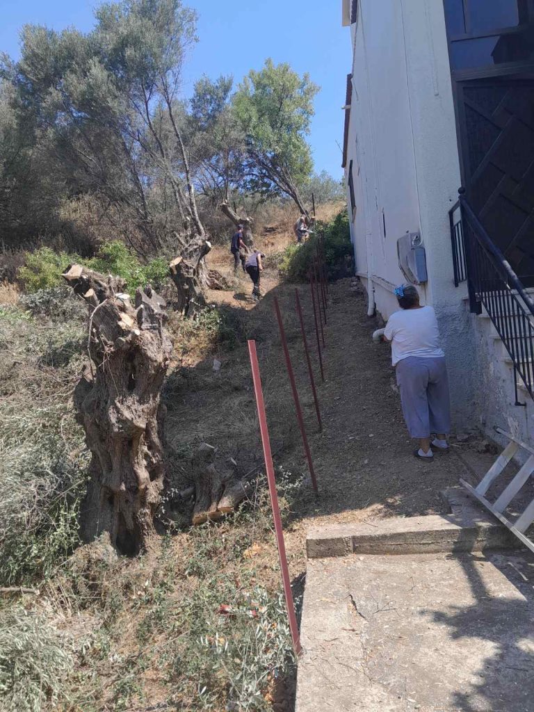 Δήμος Δυτικής Αχαΐας: Συνεχείς καθαρισμοί της βλάστησης στο οδικό δίκτυο από τα συνεργεία του Δήμου
