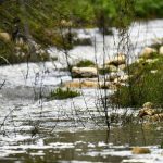 Λειψυδρία: «Στεγνώνει» και η Αχαΐα - «Του χρόνου δεν θα υπάρχει καθόλου νερό να πιούμε»