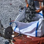 Νεκρά ψάρια στον Βόλο: Αποτελούν τον καλύτερο μεζέ για καρχαρίες – Προσοχή στους κολυμβητές