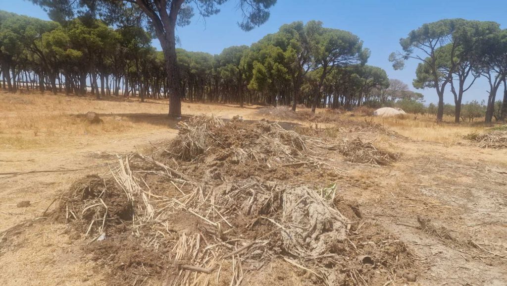 SOS ΕΚΠΕΜΠΟΥΝ ΟΙ ΚΑΤΟΙΚΟΙ Κίνδυνος από ένα μεγάλο αυλάκι στον Απιδεώνα – Τι θα γίνει αν κάποιο παιδί πέσει μέσα; ΦΩΤΟ