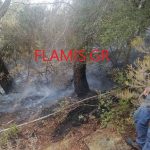 ΑΧΑΪΑ: Υπό έλεγχο η φωτιά στο Κάλφα - ΦΩΤΟ