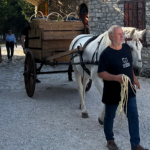 Πάτρα: Επιτυχημένος ο "Ανοιχτός Τρύγος" στην Achaia Clauss - ΦΩΤΟ