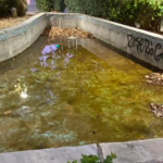 ΔΕΙΤΕ ΦΩΤΟ: Βούρκος το σιντριβάνι στην Πλ. Μαρούδα