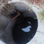 ΑΧΑΪΑ: SOS από τον Αλισσό - Μολύνουν την θάλασσα - ΦΩΤΟ
