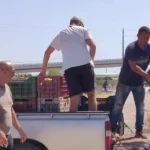 Σε απόγνωση οι αγρότες στο Ζευγολατιό – Καταγγέλλουν ότι τους κλέβουν την παραγωγή της σουλτανίνας