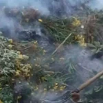 Βαριές «καμπάνες» από την Πυροσβεστική στην Αχαΐα, για φωτιά στην ύπαιθρο
