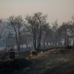 Ελλάδα: 33% λιγότερες οι καμένες εκτάσεις το 2024 παρά τις αυξημένες φωτιές