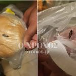 Κομοτηνή: Μαθήτρια βρήκε κατσαρίδα σε σχολικό γεύμα
