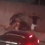 ΝΕΑ ΣΥΜΠΛΟΚΗ ΣΤΑ ΨΗΛΑΛΩΝΙΑ: Κυνήγι και ξύλο με πρωταγωνιστές 17χρονους!