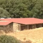 Ρέθυμνο: Αποτυχημένος "σασμός" οδήγησε στην απόπειρα δολοφονίας του 69χρονου κτηνοτρόφου
