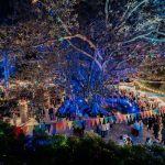 Πάτρα-Street Food and Music Fest ’24: Δύο συναρπαστικά τριήμερα γεμάτα γεύση και μουσική