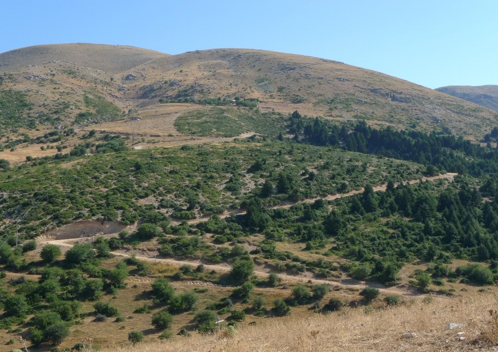 Δρόμος πρόσβασης, μονοπάτια πεζοπορίας και σημεία δασικής αναψυχής των πολιτών στο Παναχαϊκό όρος - ΦΩΤΟ