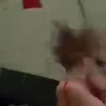 Γεωργία: Γυναίκα πόζαρε για φωτογραφία δίπλα στις σιδηροδρομικές γραμμές και τη χτύπησε το τρένο