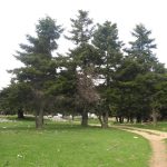 Δρόμος πρόσβασης, μονοπάτια πεζοπορίας και σημεία δασικής αναψυχής των πολιτών στο Παναχαϊκό όρος - ΦΩΤΟ