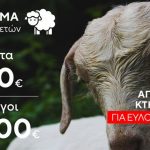 Ευλογιά - Πανώλη αιγοπροβάτων: Μεγάλη αύξηση στις αποζημιώσεις