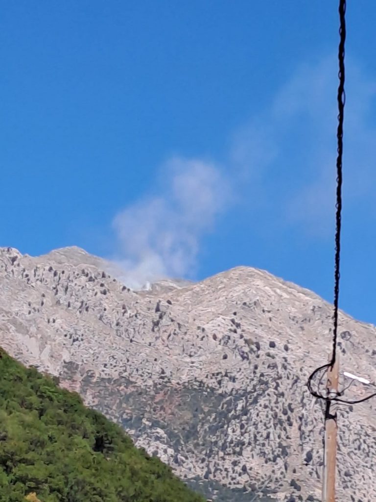 Φωτιά σε δασική έκταση στην Πλατανίτσα Καλαβρύτων ΔΕΙΤΕ ΦΩΤΟ