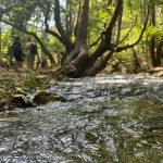 Πλανητέρο: Ένα από τα πιο όμορφα και γραφικά τοπία της ορεινής Αχαΐας (video)