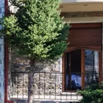 Σε κρίσιμη κατάσταση ο 48χρονος Πατρινός στη Φλώρινα - Νοσηλεύεται και η Πατρινή γυναίκα του