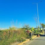 ΠΑΤΡΑ: "Καλλωπίζεται" η νησίδα στην Ακτή Δυμαίων