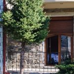 Φλώρινα: Τι πήγε λάθος στη διαρροή μονοξειδίου του άνθρακα – Ειδικός απαντά