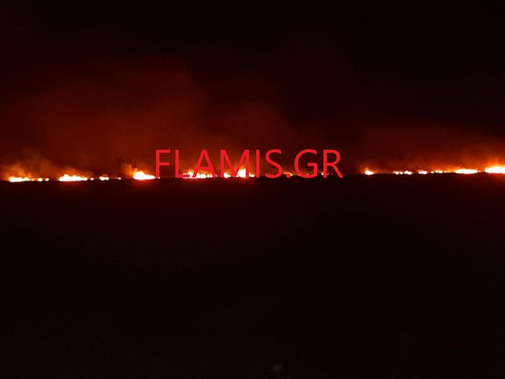 ΑΧΑΙΑ. Μεγάλη φωτιά κοντά.στην Καλόγρια -Φυσάει πολύ