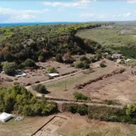 Νέα σημαντικά ευρήματα από την ανασκαφική έρευνα στο Σαμικό Ηλείας