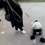 Ανατριχιαστικές εικόνες: Έφηβοι ντύνονται ζώα και αντιγράφουν τη συμπεριφορά τους – Επιτίθενται και δαγκώνουν αθώους περαστικούς