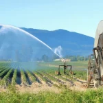 «Κόκκινα» αγροτικά δάνεια: Ποιους αφορά η ρύθμιση που έρχεται μέσα στον Οκτώβριο – Ο τρόπος που θα διευθετηθούν