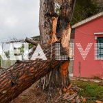 Κατάκολο - Σκουροχώρι: Ανεμοστρόβιλος προκάλεσε ζημιές τα ξημερώματα ΦΩΤΟ