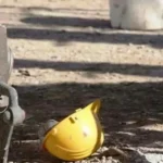 Σκοτώθηκε 42χρονος - Εβαζε κάγκελα σε μπαλκόνι και έπεσε