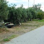 ΝΟΤΙΟ ΠΑΡΚΟ ΠΑΤΡΑΣ: Το "κάμπινγκ"... δεν σταμάτησε