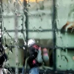 Καιρός - Κολυδάς: Βροχές και πτώση της θερμοκρασίας από την Παρασκευή - Ποιες περιοχές θα επηρεαστούν