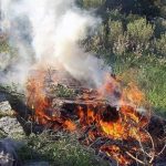 ΠΑΤΡΑ: Πρόστιμα για φωτιές από ιδιώτες - Επεσαν "καμπάνες"