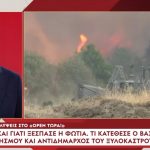 Φωτιά στο Ξυλόκαστρο: "Έχει στηθεί ένα σενάριο για να αποπροσανατολιστεί η έρευνα. Κάποιοι συμβούλευσαν ορισμένους να τα ρίξουν στα μελίσσια"