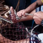 Πήλιο: Ένοχος ψαράς που βρήκε δύτη χωρίς τις αισθήσεις του στα δίχτυα και τον έριξε ξανά στη θάλασσα