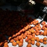 “Ανοίγουν” οι λαϊκές αγορές για τους αγρότες