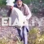 Κτηνωδία στην Ηλεία: Έριξαν κουτάβια σε ποταμό