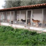 ΠΑΤΡΑ: "Όχι στη δημιουργία κυνοτροφείου στο Ριγανόκαμπο"