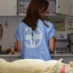 Στο τελικό στάδιο οι διαδικασίες για το Δημοτικό Κτηνιατρείο της Πάτρας