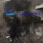 Ηλεία: Καταγγελία για κακοποίηση ζώων στην Σπιάντζα