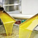 Είναι το αγουρέλαιο το πολυτιμότερο ελαιόλαδο; Πώς και πού το χρησιμοποιούμε;