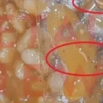 Βρήκαν σκουλήκια σε γεύματα μαθητών ειδικού σχολείου