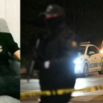 Τουρκία: Πώς ΕΥΠ και ΜΙΤ εξάρθρωσαν μία από τις μεγαλύτερες συμμορίες