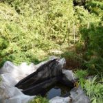 Είχε καβάτζα για χασίς... το δάσος της Στροφυλιάς!