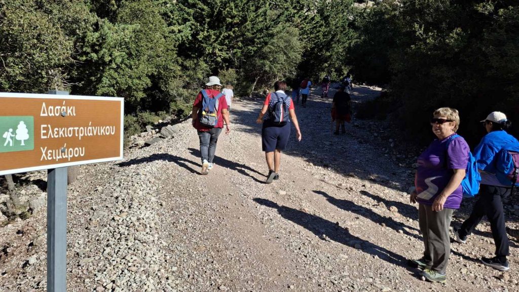 ΠΕΖΟΠΟΡΙΑ ΣΤΟ ΠΟΥΡΝΑΡΟΚΑΣΤΡΟ ΓΙΑ ΤΟ ΠΑΡΚΟ ΕΚΠΑΙΔΕΥΤΙΚΩΝ ΔΡΑΣΕΩΝ: ΔΗΜΟΥ ΠΑΤΡΕΩΝ: «Υποδεχθήκαμε το Φθινόπωρο με μια μοναδική εμπειρία στο Παναχαϊκό Όρος»