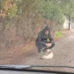 ΠΑΤΡΑ - ΚΕΦΑΛΟΒΡΥΣΟ: Πάτρα: Πώς νεαρός έσωσε τραυματισμένο σκυλάκι